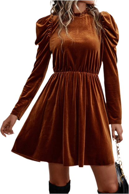 Velvet Frilled Neck Gigot Sleeve Swing Dress